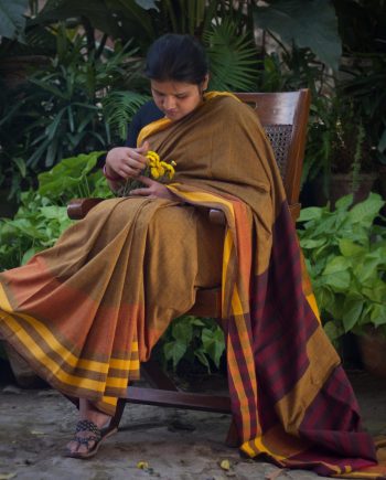 brown handloom cotton saree