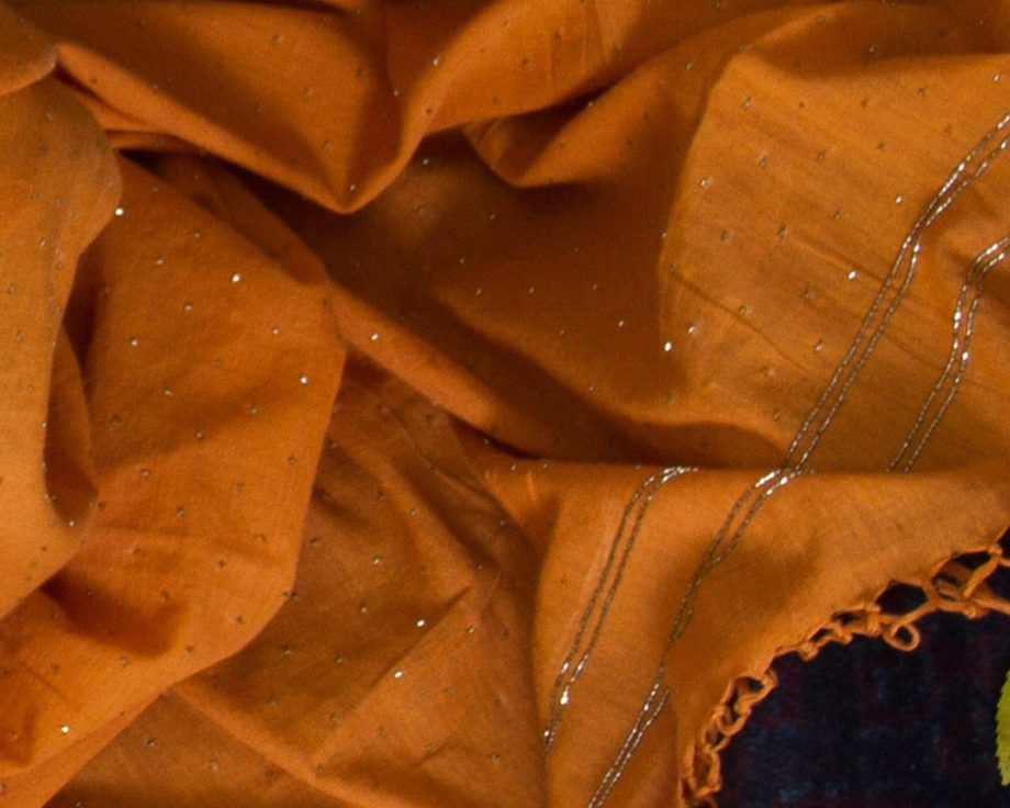 zardozi cotton handloom saree from baragaon weaves