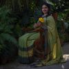 handloom cotton sarees