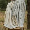 Handloom cotton and silk saree. sari handmade with natural silk and handwoven in India.