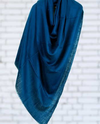 handwoven pure pashmina cashmere shawl from kashmir india handwoven