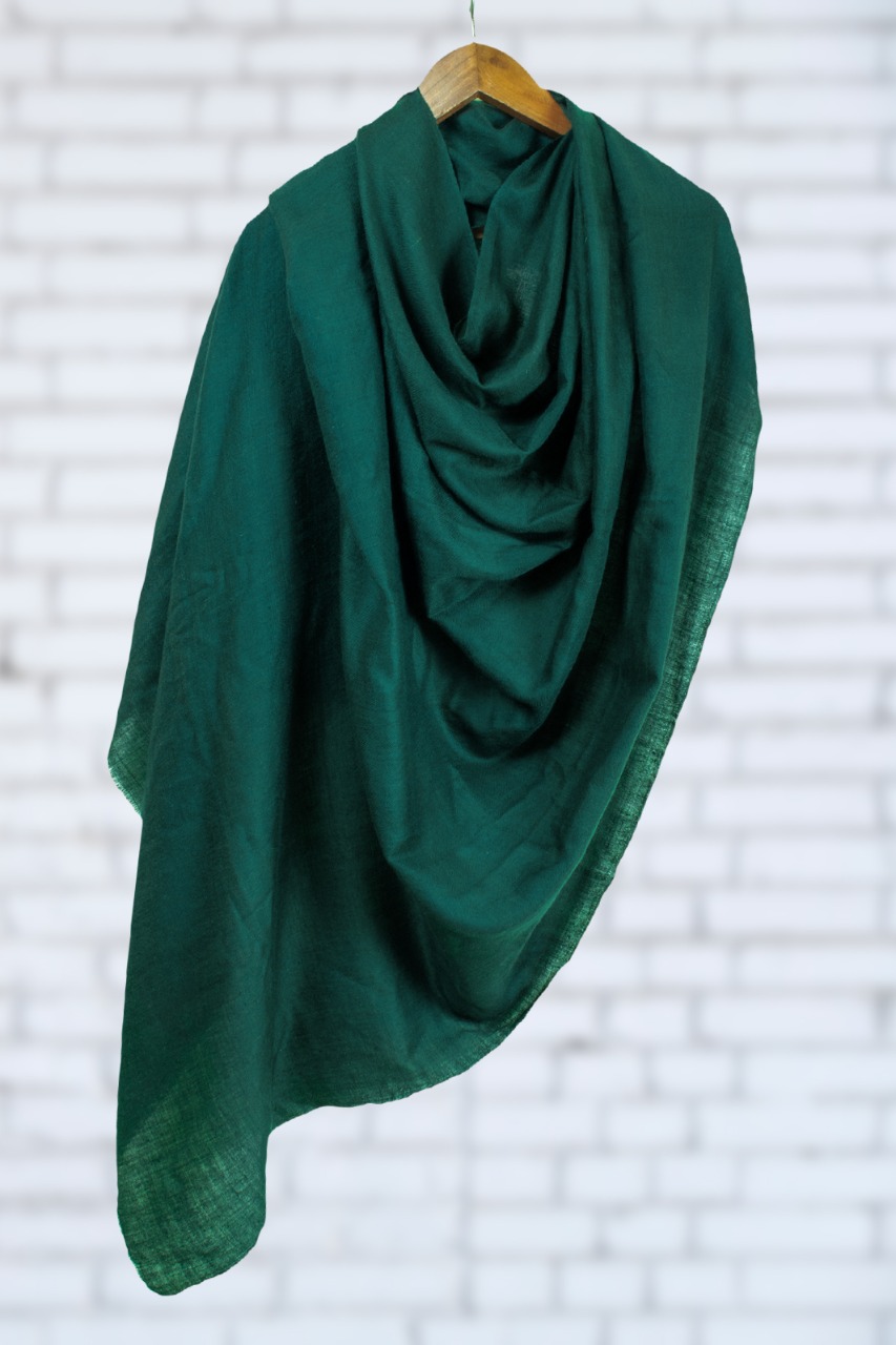 Green Pashmina Handspun Handwoven Pure Wool Shawl – Baragaon Weaves