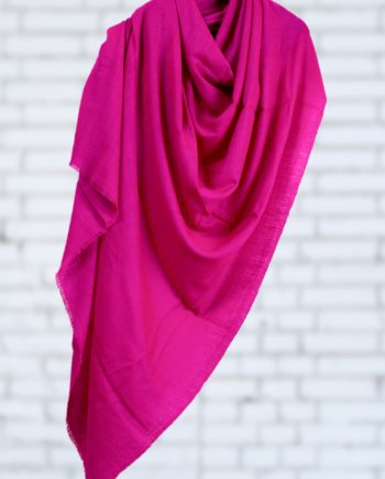 handwoven pure pashmina cashmere shawl from kashmir india handwoven