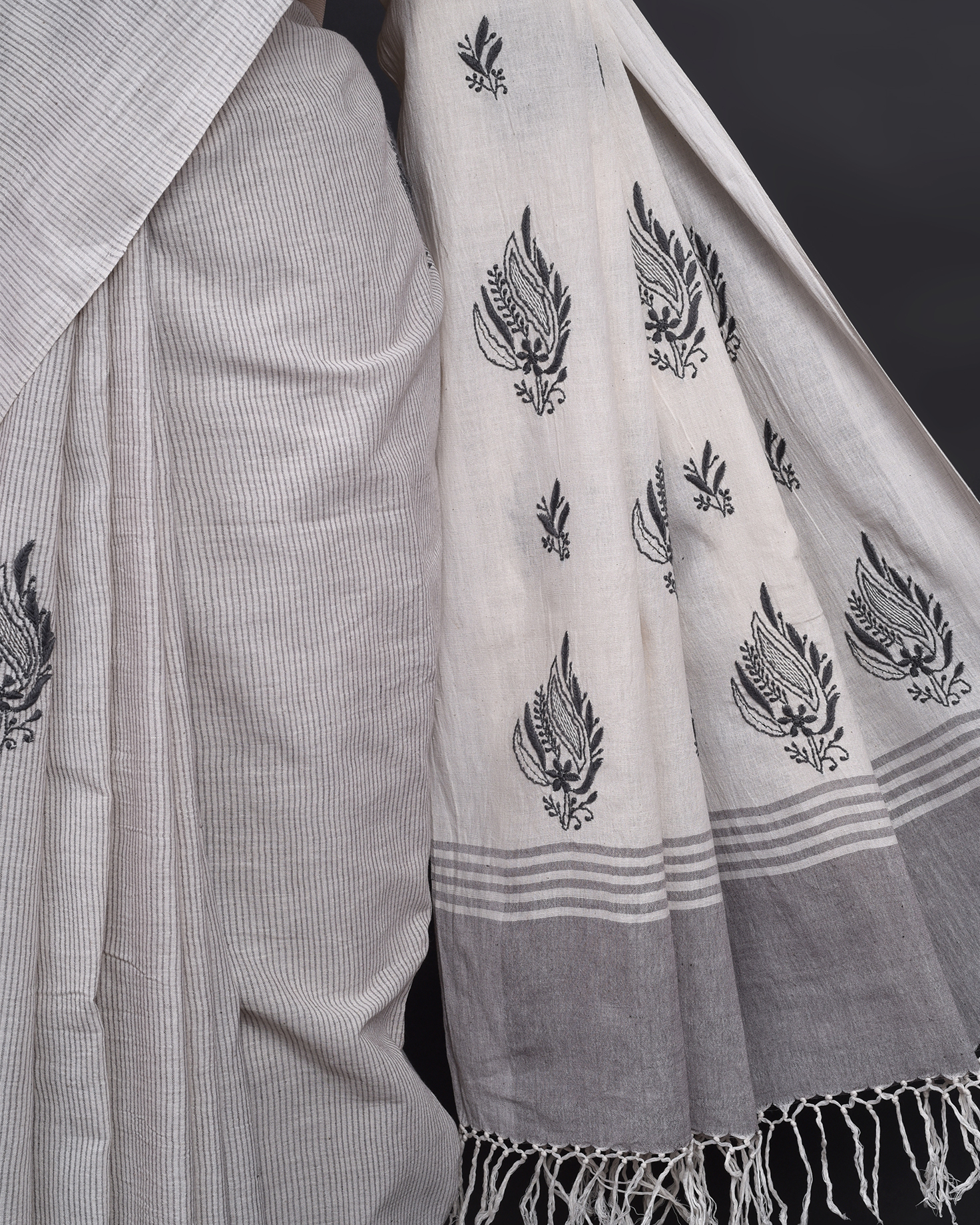 Alaa Chikankari Sari